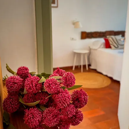 Mas Ribas I Esdeveniments Palamós