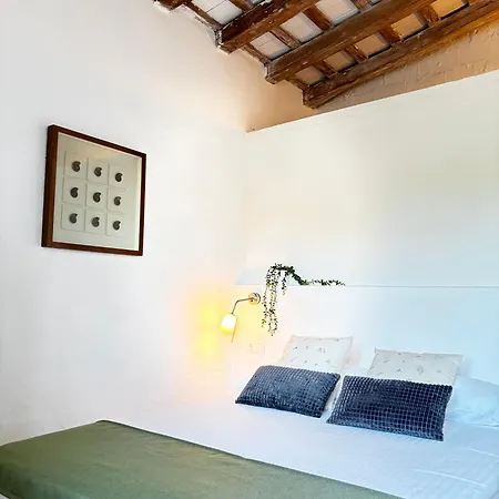 Mas Ribas I Esdeveniments *