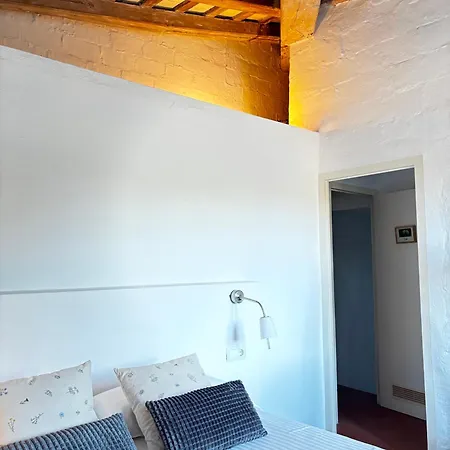 Mas Ribas I Esdeveniments