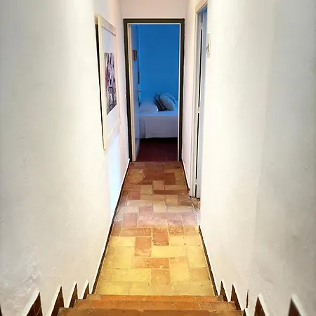 Mas Ribas I Esdeveniments *