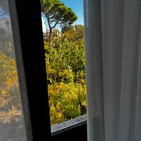 Mas Ribas I Esdeveniments