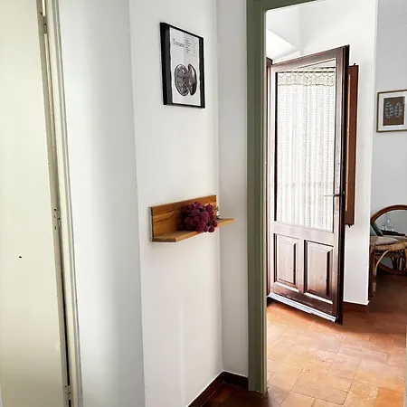 Mas Ribas I Esdeveniments Palamós