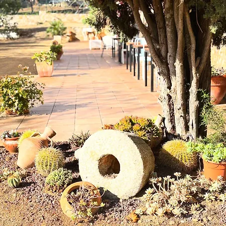 Mas Ribas I Esdeveniments * Palamós