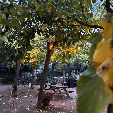 Mas Ribas I Esdeveniments