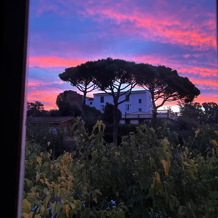 Mas Ribas I Esdeveniments Hotel Palamós