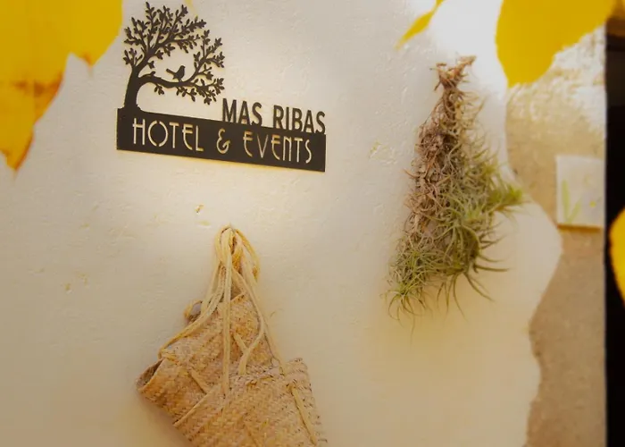 Mas Ribas I Esdeveniments * 帕拉莫斯