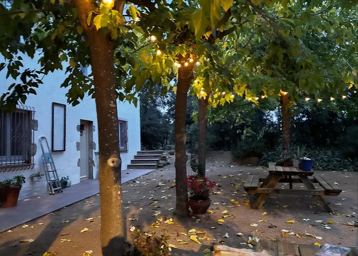 Mas Ribas I Esdeveniments 酒店 帕拉莫斯